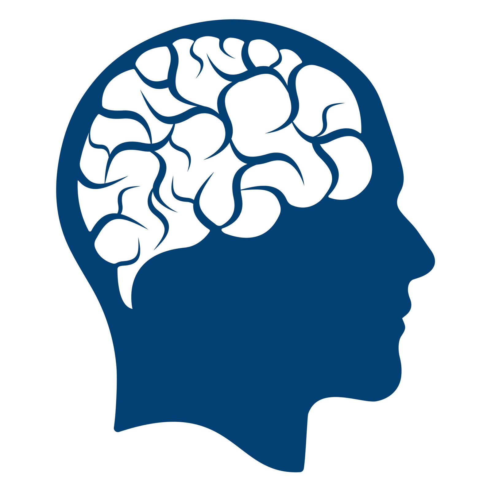 Synaboost Brain